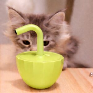Cat Laser Toy Motion Activated Interactive Usb Rechargeable Silent