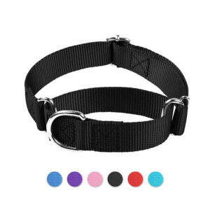 Dog Collar Pet Martingale Nylon Collar Purple Small Medium Large Neck Adjustable