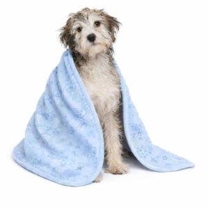 Super Absorbent Pet Towel Soft Drying Bath Dog Cat Blanket