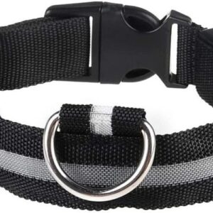 LED Pet Dog Collar Safety Luminous Flashing Light Up USB Rechargeable XL