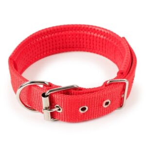Dog Cat Puppy Pet Collar Padded Eyelet Nylon Metal Pet Puppy Cat Adjustable